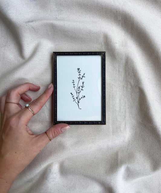 Thyme framed print