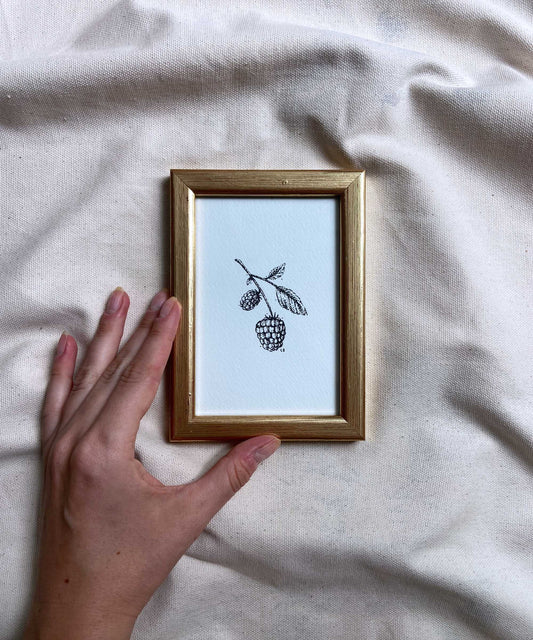 Blackberry framed print