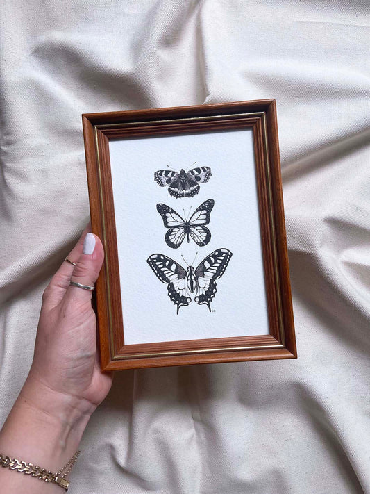 Butterflies framed print