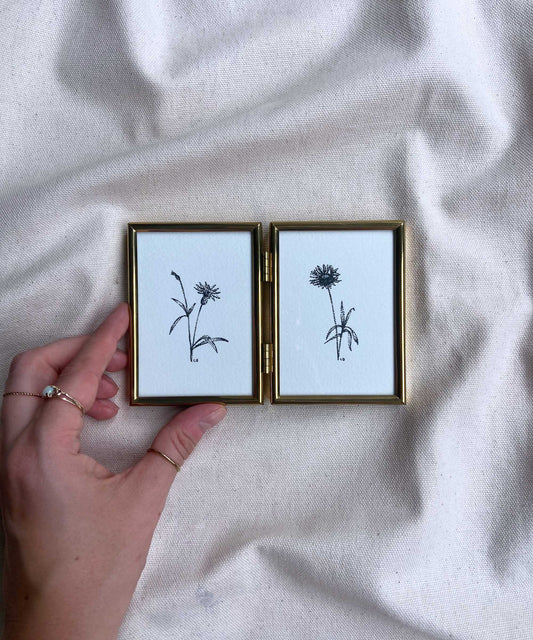 Cornflower framed original