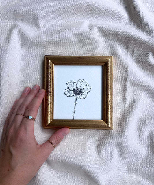 Poppy framed original