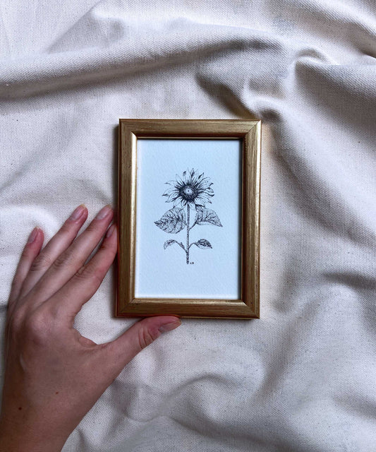 Sunflower framed print