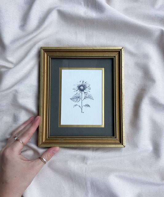 Sunflower framed print