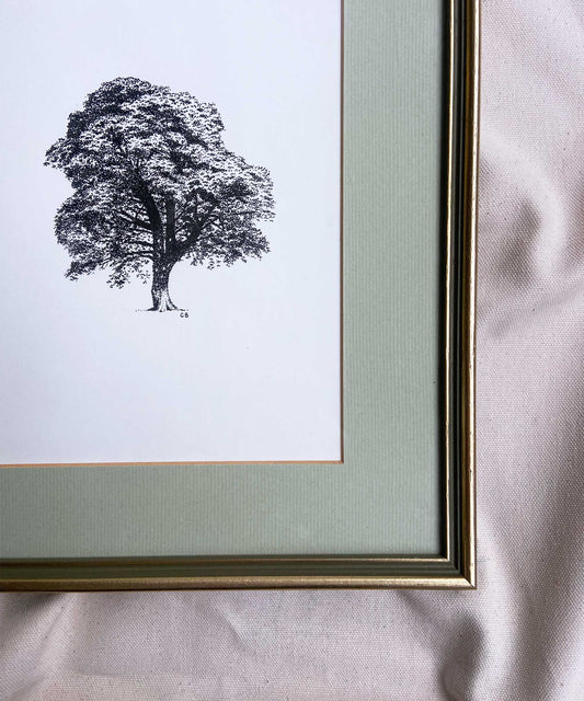 Sycamore Gap framed original