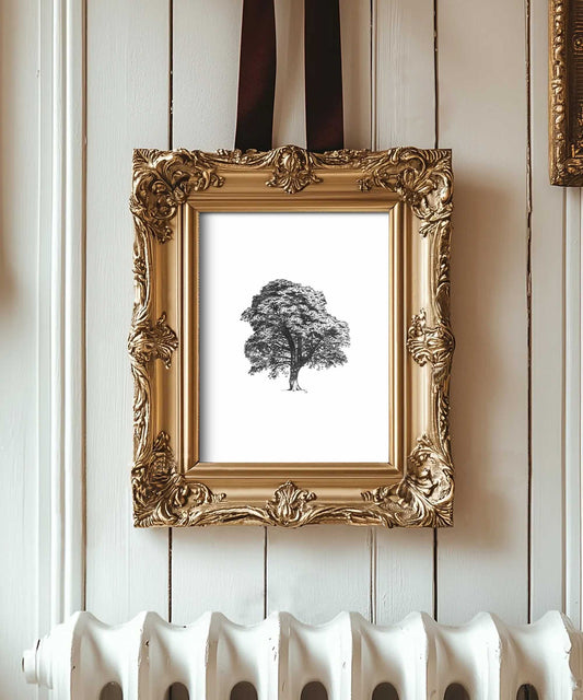 Sycamore Gap Art Print