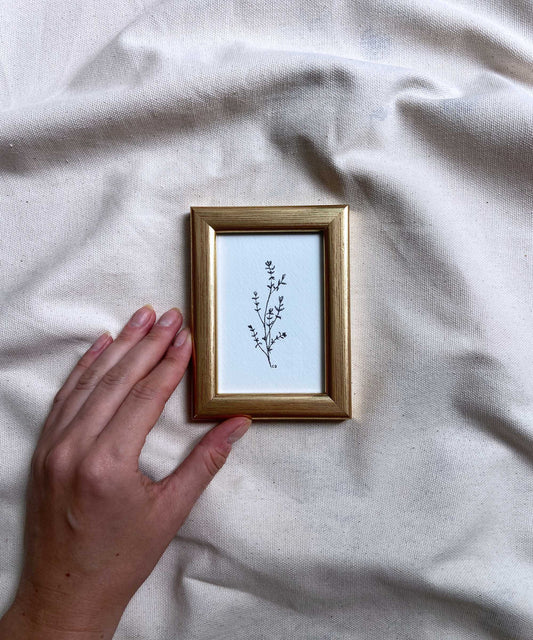Thyme framed print