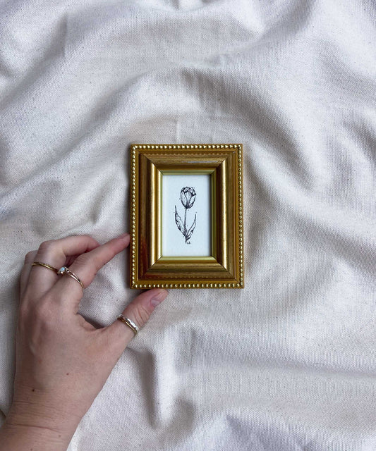 Tulip framed original