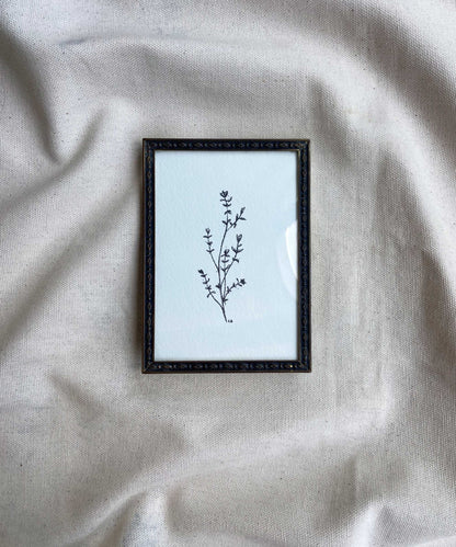 Thyme framed print