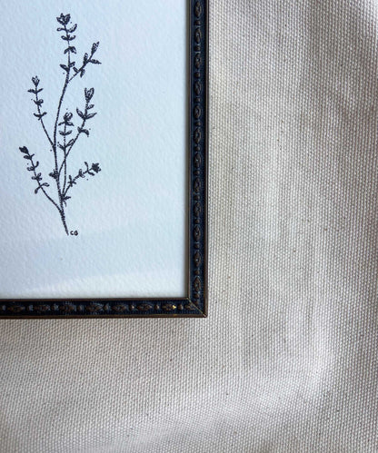 Thyme framed print