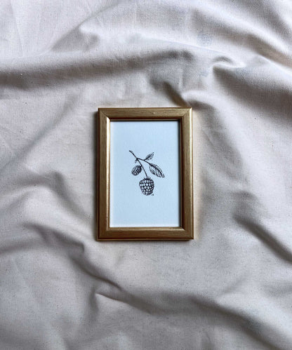 Blackberry framed print