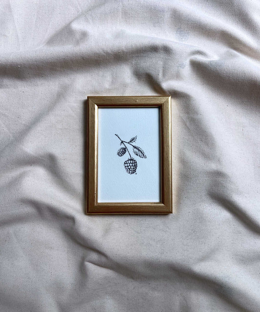 Blackberry framed print