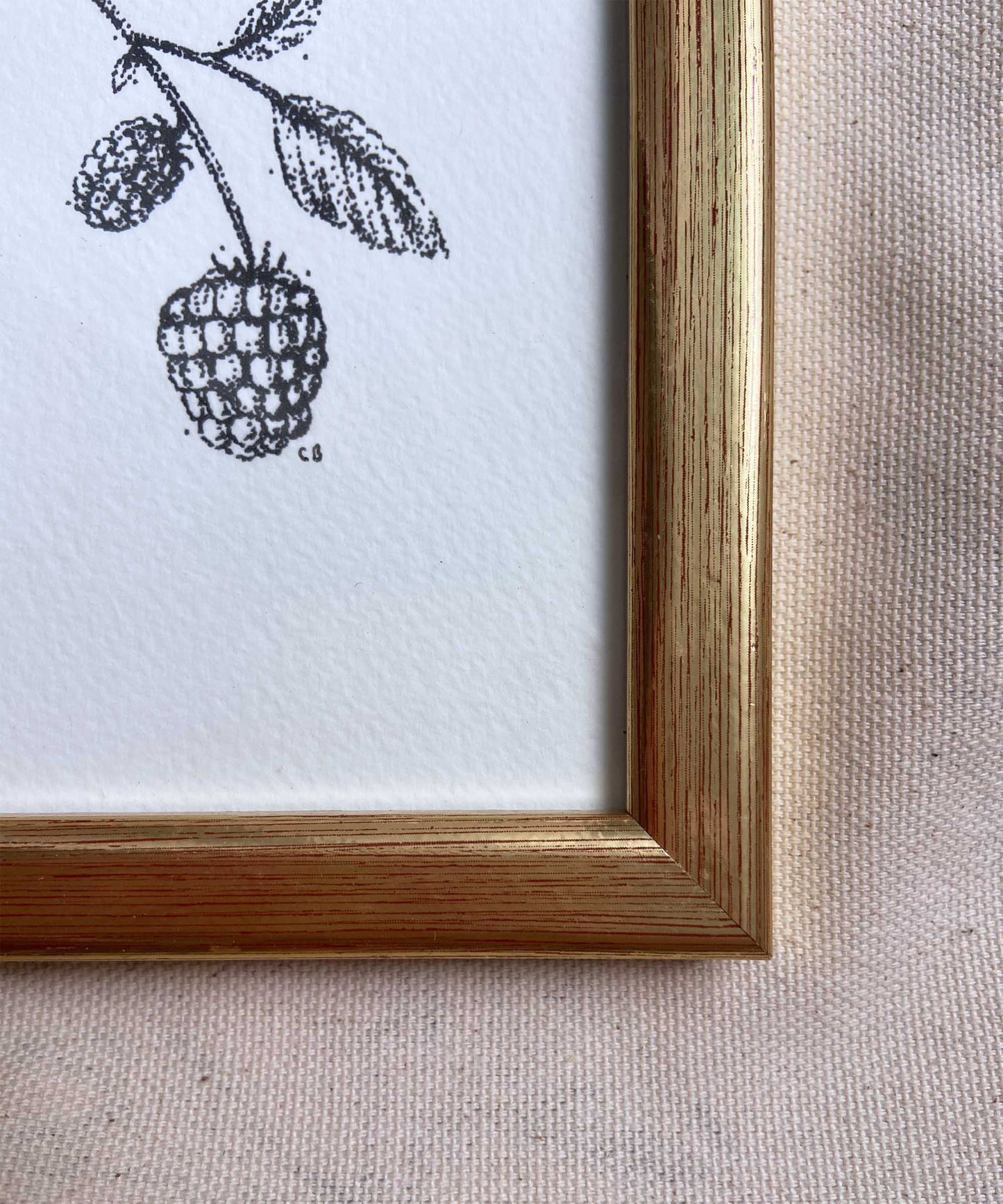 Blackberry framed print
