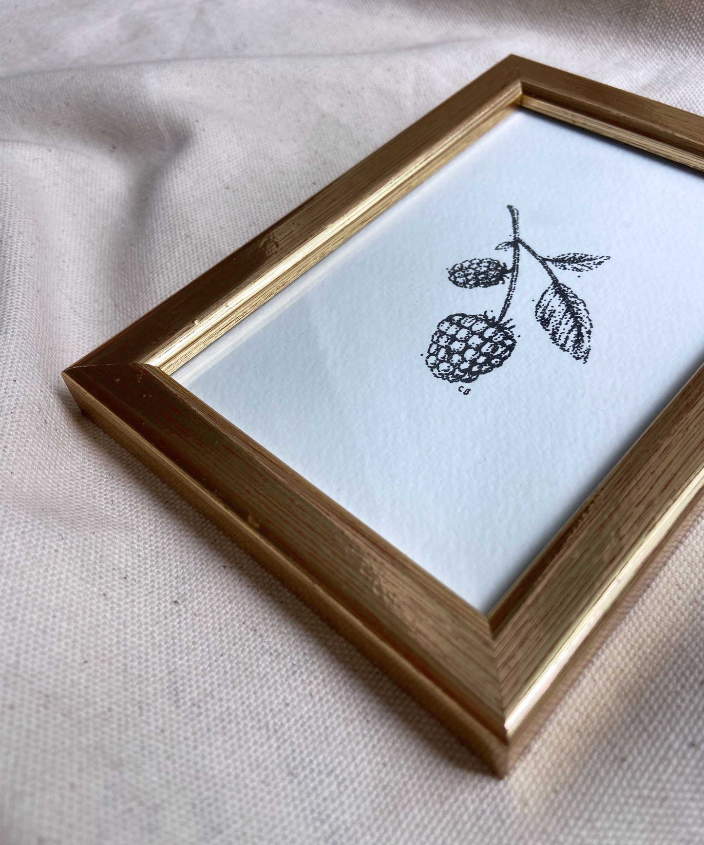 Blackberry framed print