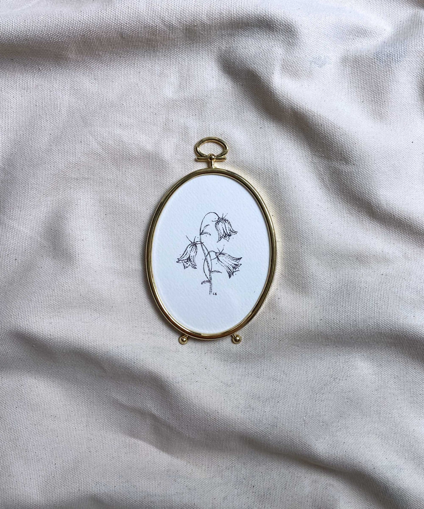 Bluebells framed print