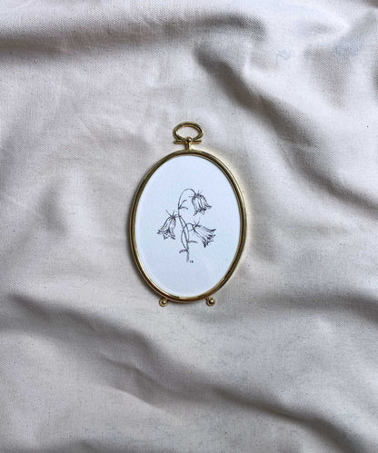 Bluebells framed print