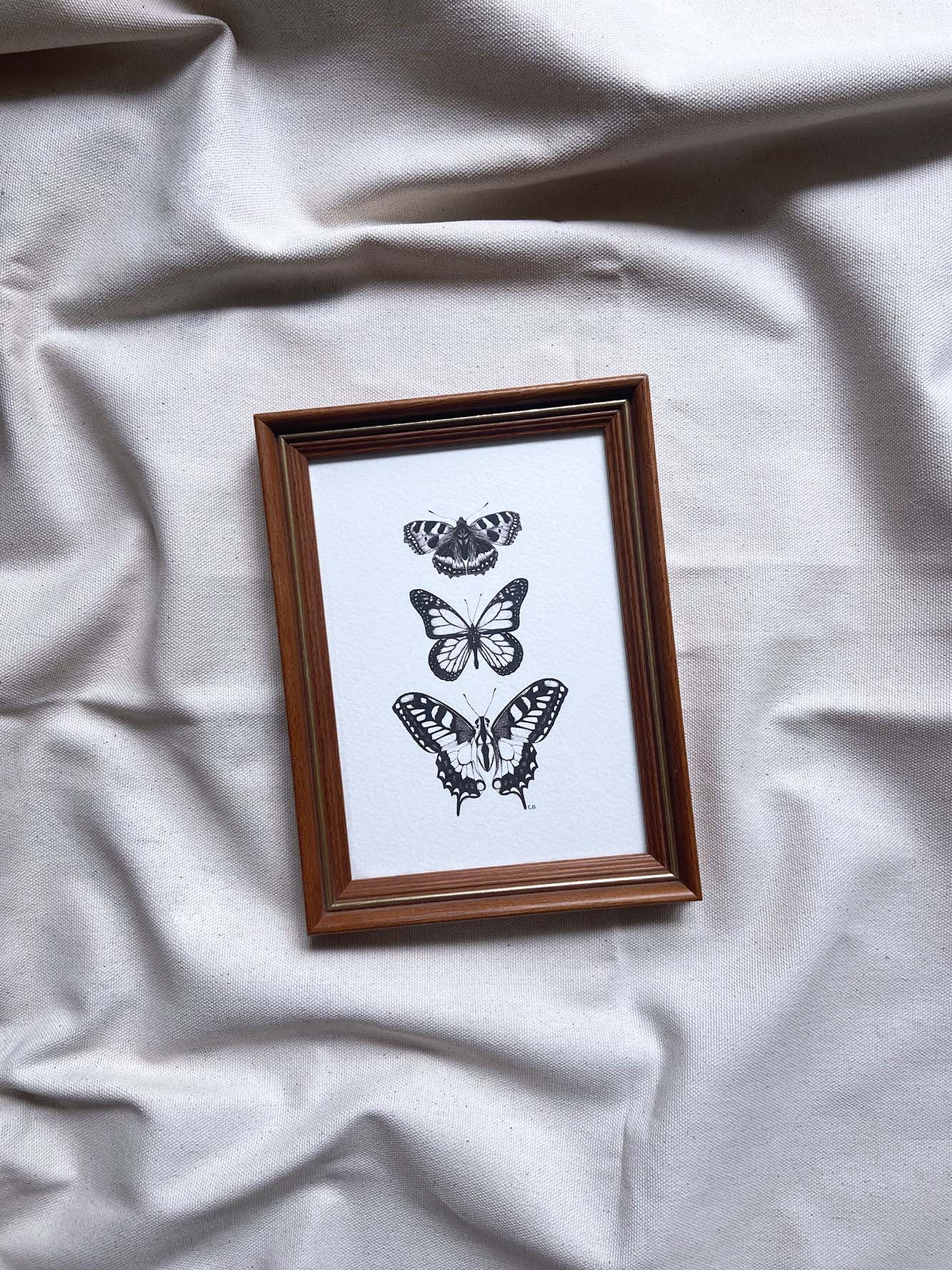 Butterflies framed print