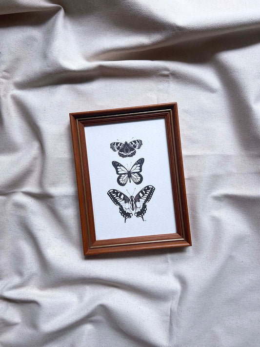 Butterflies framed print