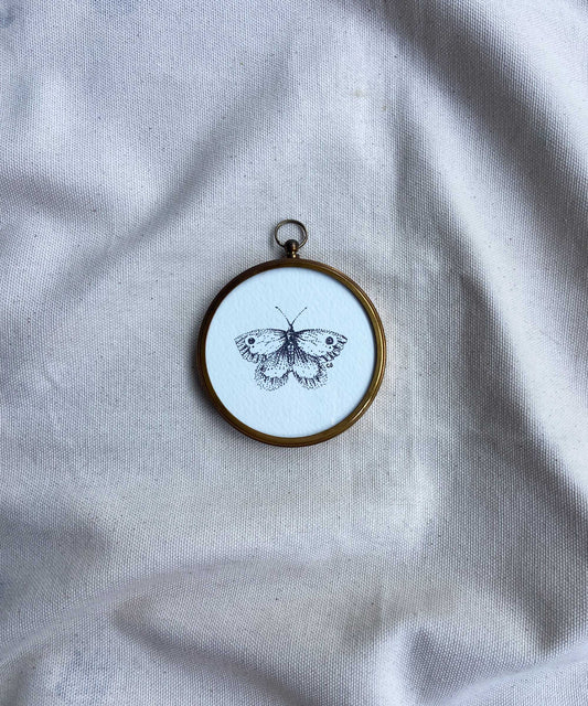 Butterfly framed print