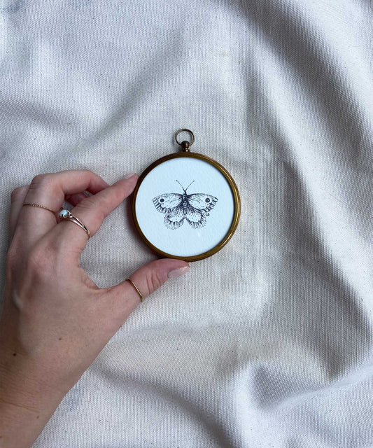 Butterfly framed print