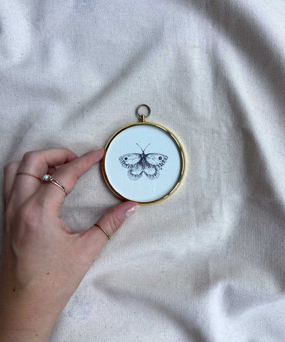 Butterfly framed print