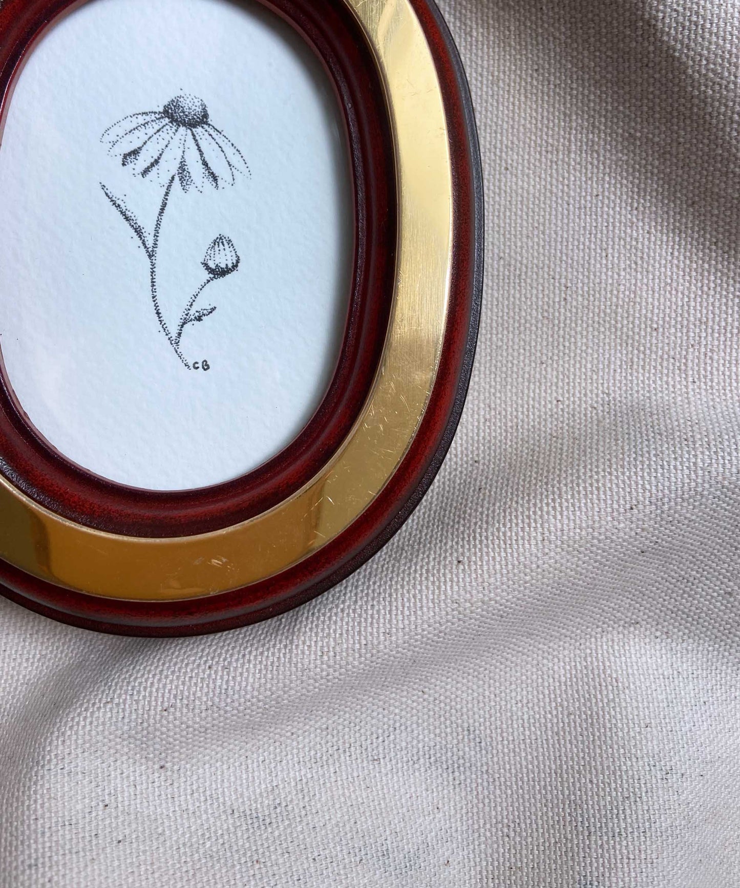 Daisy framed print