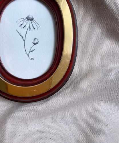 Daisy framed print