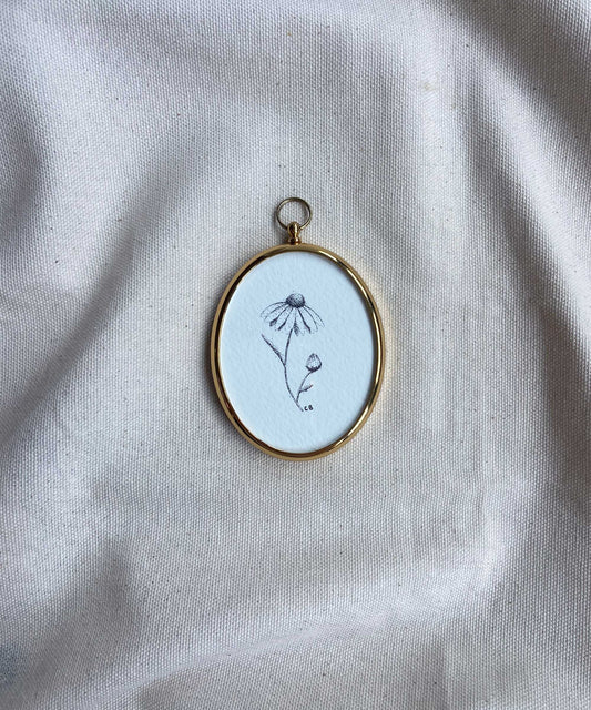 Daisy framed print