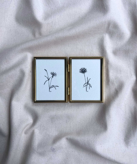 Cornflower framed original