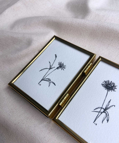 Cornflower framed original