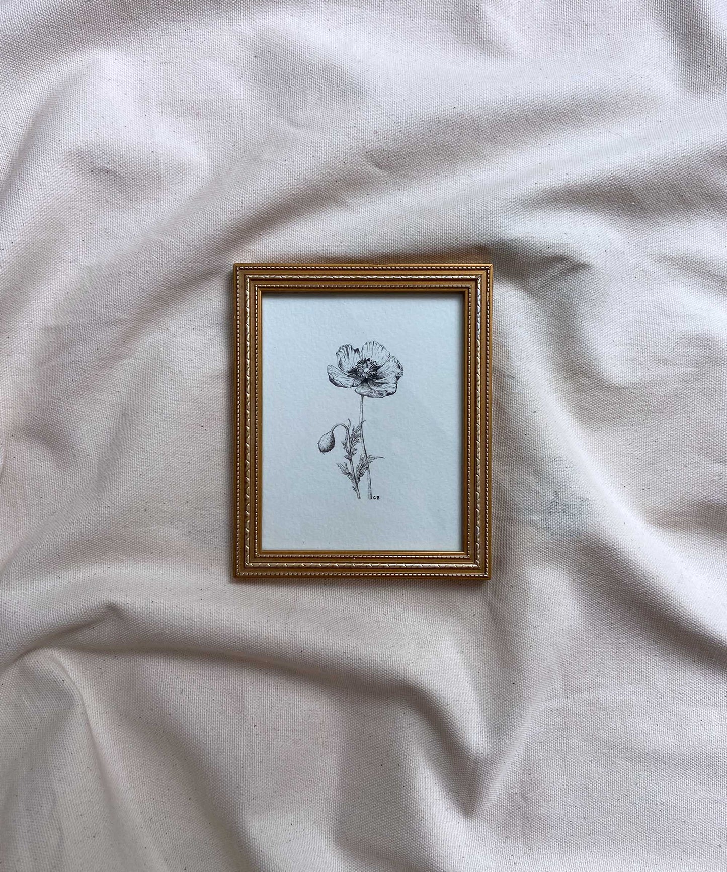 Poppy framed print