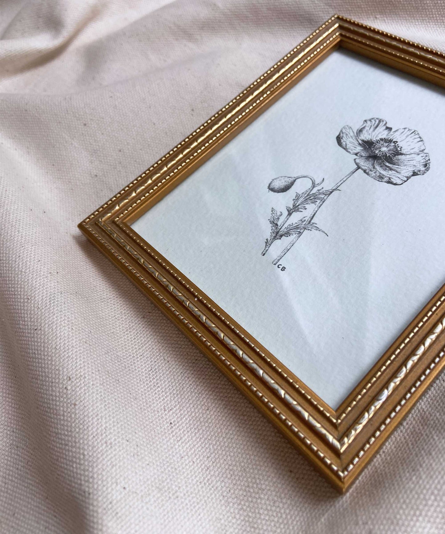 Poppy framed print