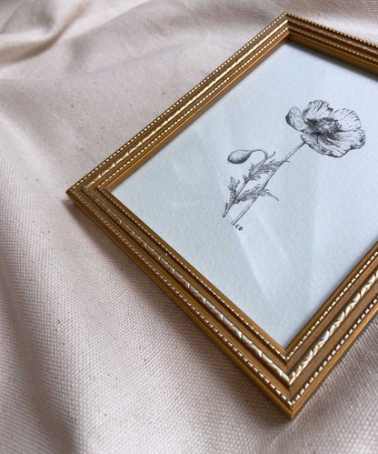 Poppy framed print