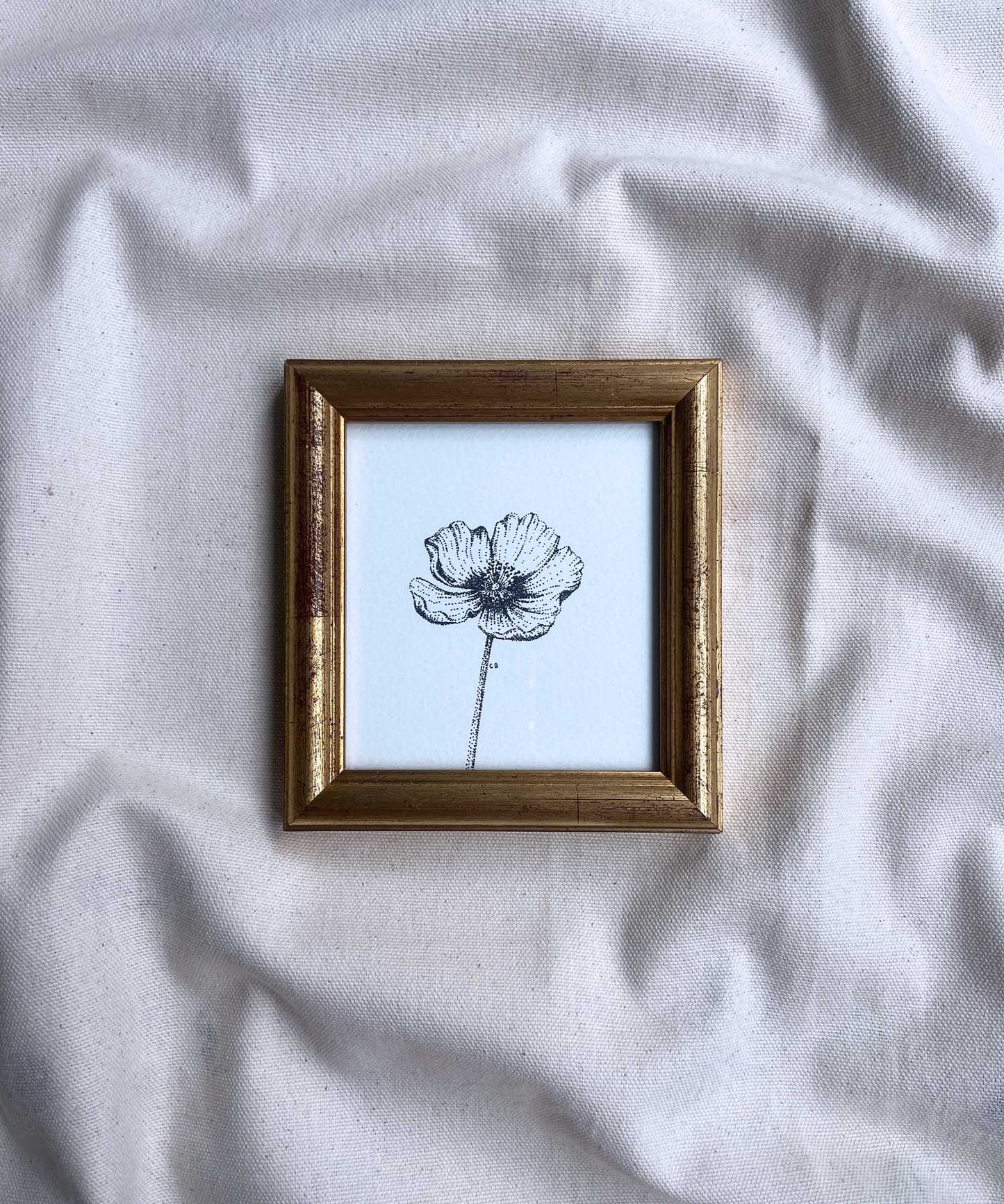 Poppy framed original