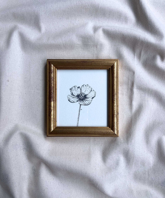 Poppy framed original