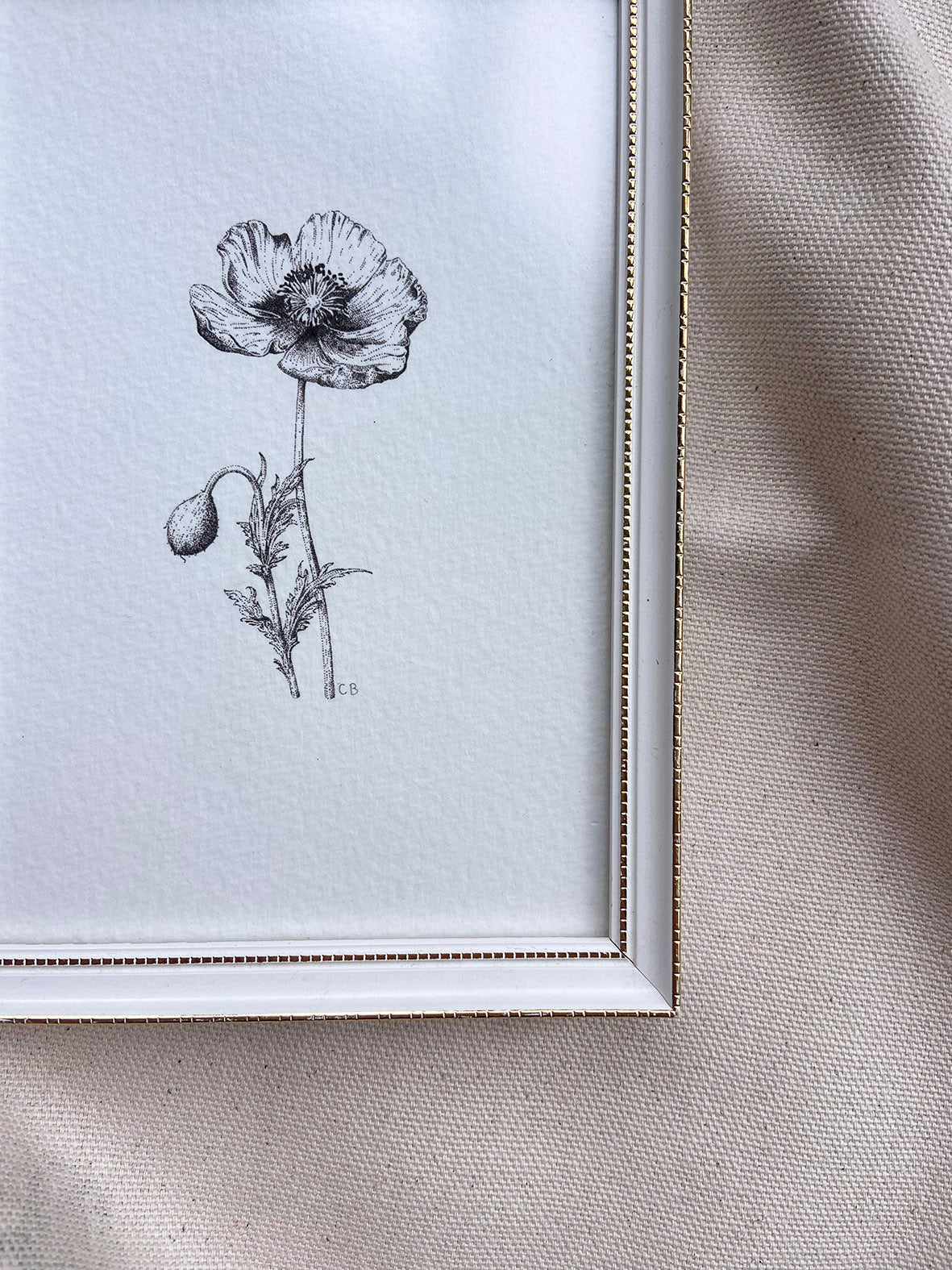 Poppy framed print