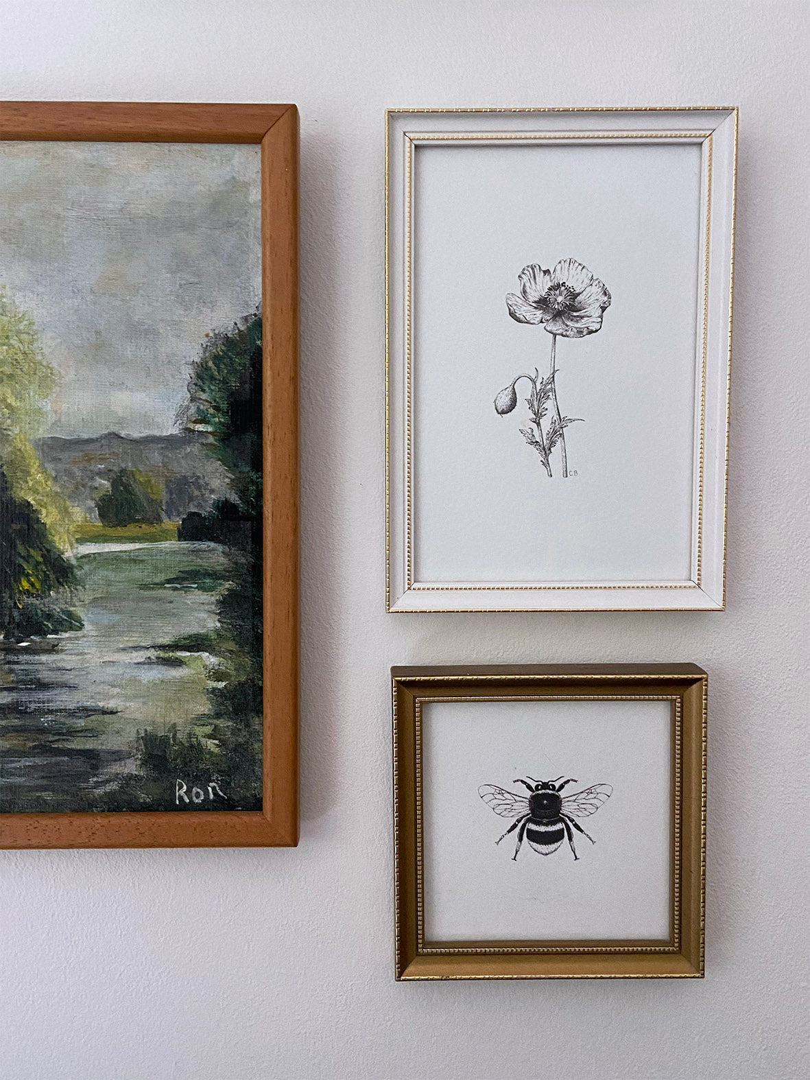 Poppy framed print
