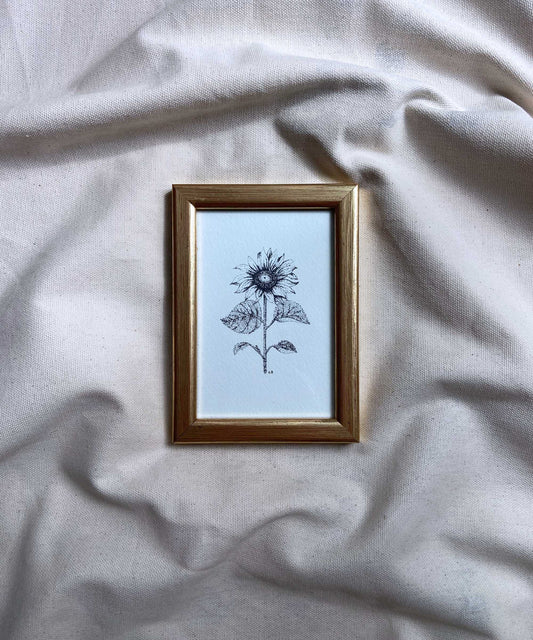 Sunflower framed print