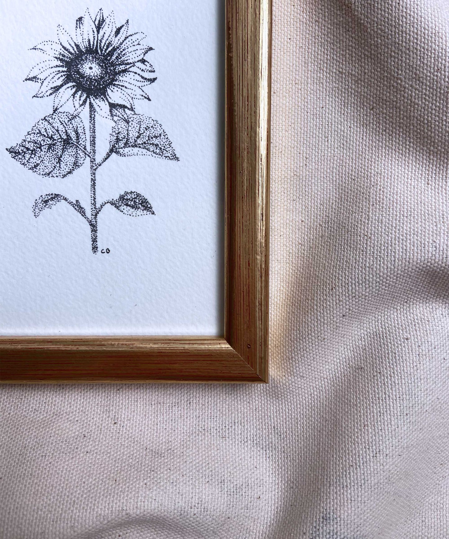Sunflower framed print