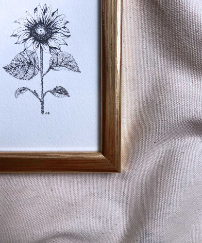 Sunflower framed print
