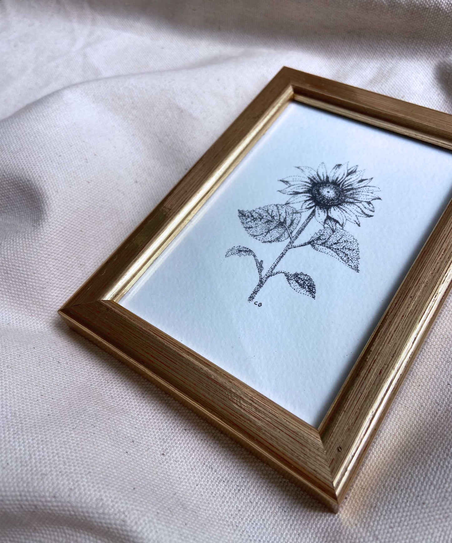 Sunflower framed print