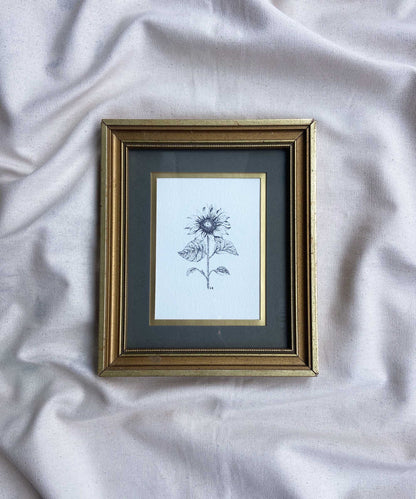 Sunflower framed print