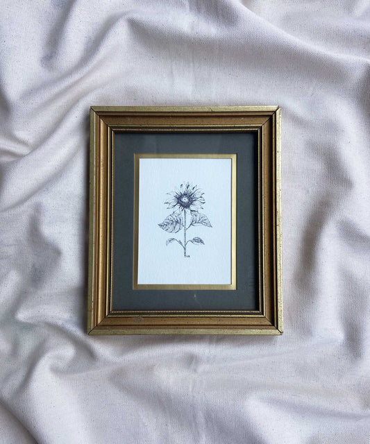 Sunflower framed print