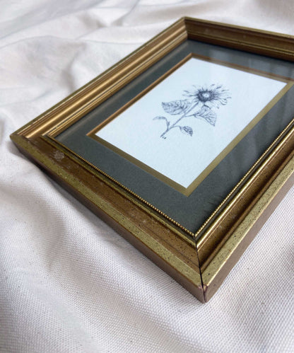 Sunflower framed print