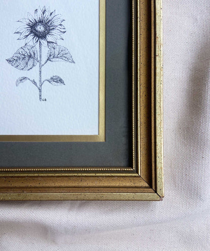 Sunflower framed print