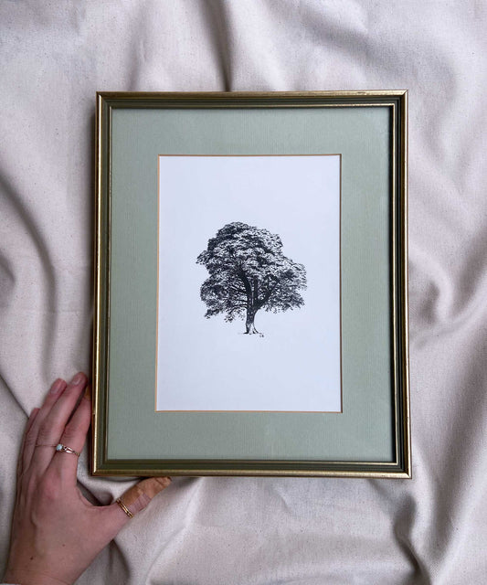 Sycamore Gap framed original