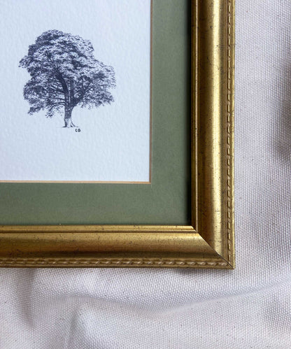 Sycamore Gap framed print