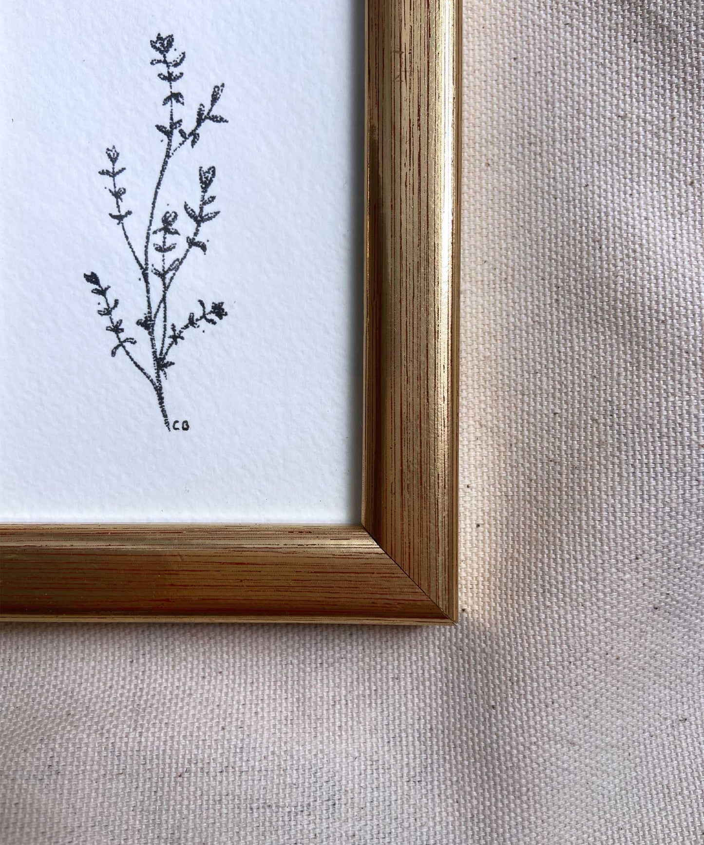 Thyme framed print