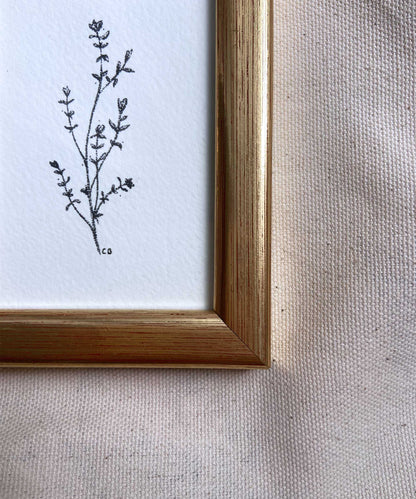 Thyme framed print