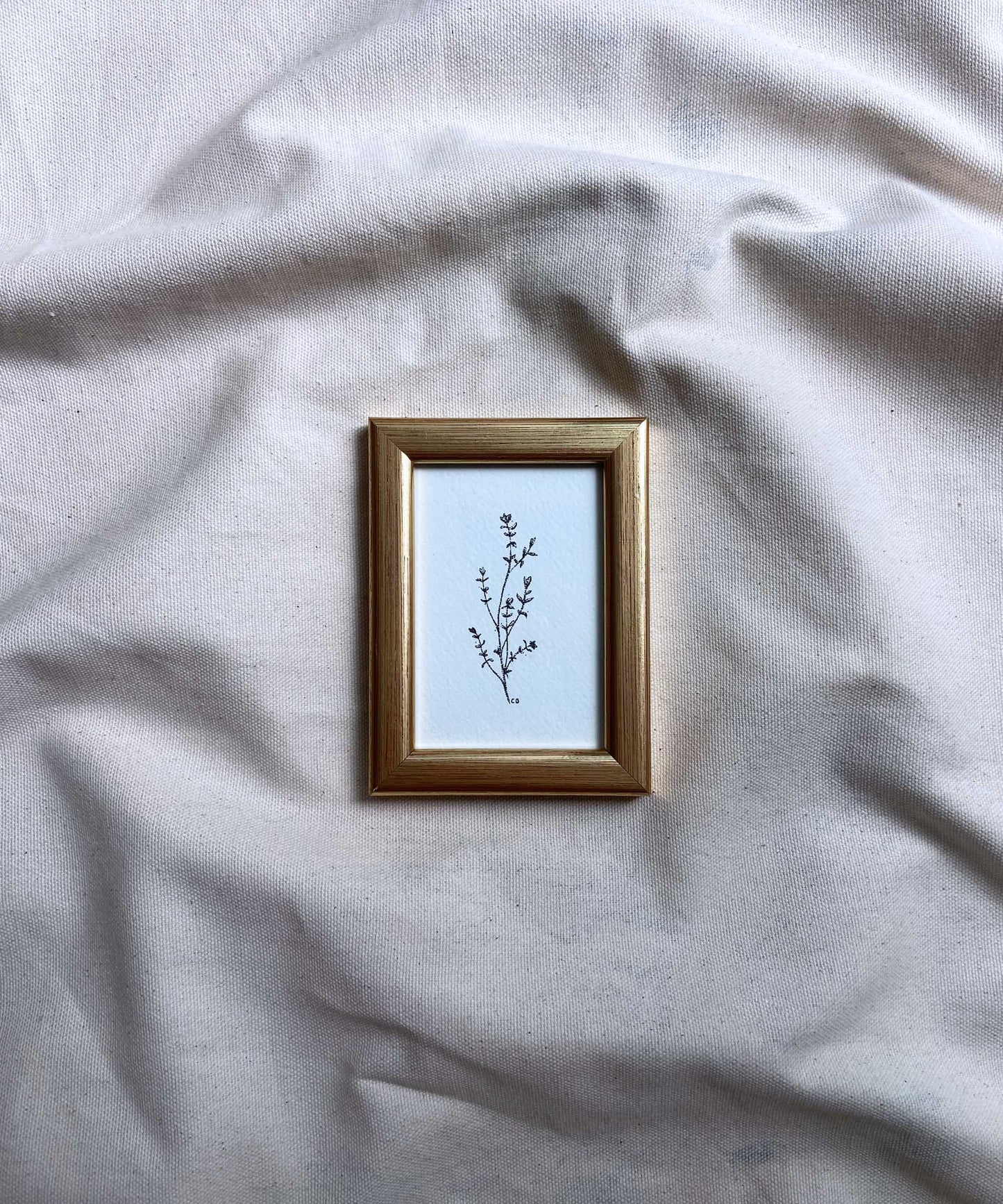 Thyme framed print