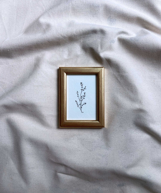 Thyme framed print